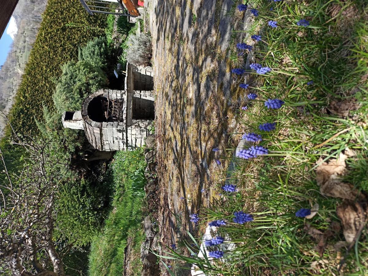 Chalet Avec Jardin Bourg-Saint-Maurice Eksteriør billede